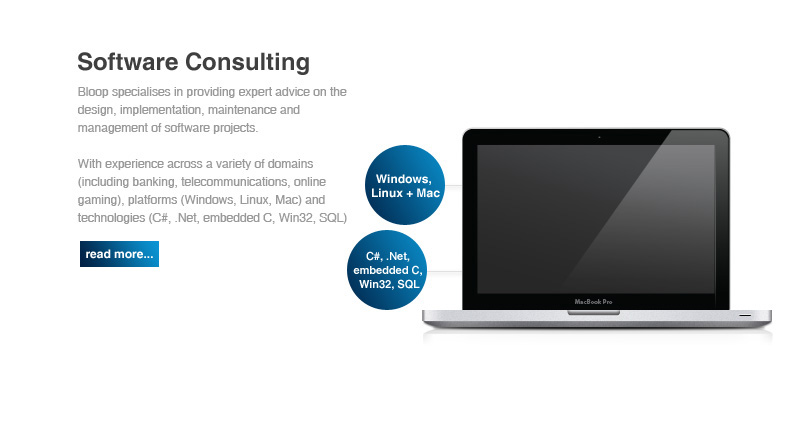 Software Consulting